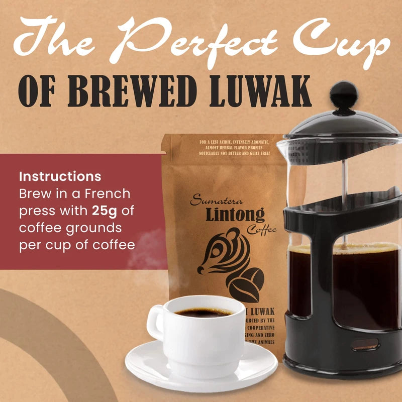 Wild Kopi Luwak, the World’s Most Exclusive Coffee, Sustainably Sourced From Sumatra, Indonesia (100gr / 3.5oz)