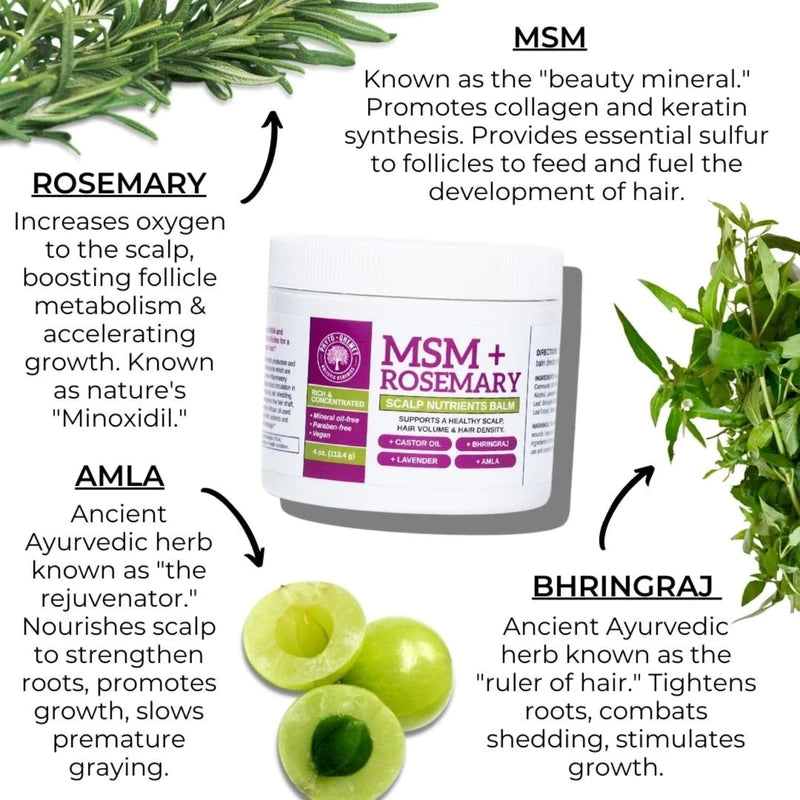 Qhemet Biologics MSM + Rosemary Scalp Nutrients Balm | Scalp Food for Hair Growth | MSM, Rosemary, Bhringraj, Castor Oil & Coconut Oil | For Dry Scalp, Thinning & Slow Growth | Vegan (4 oz)