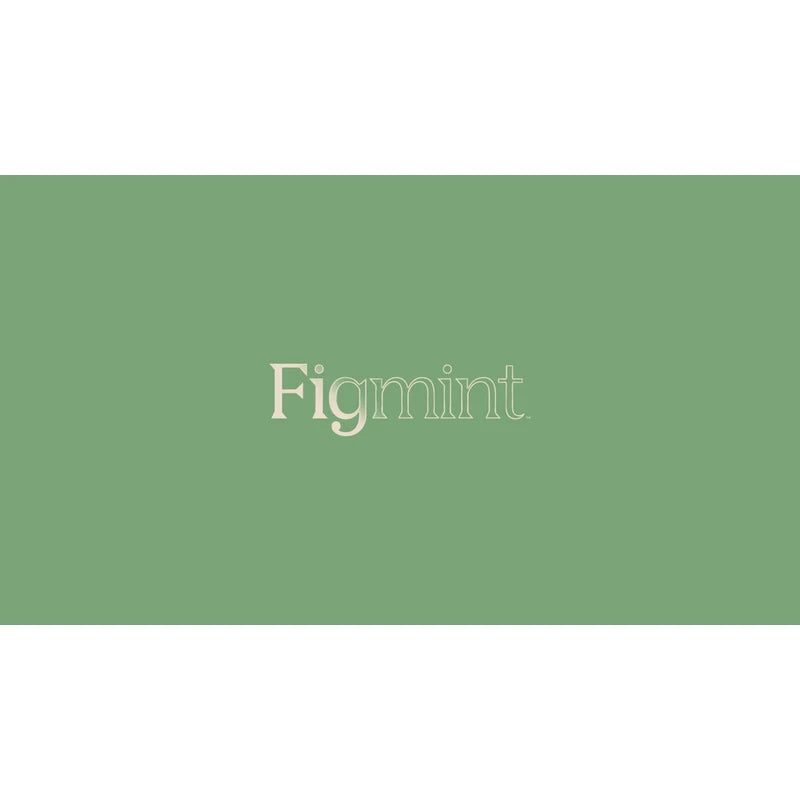 Figmint 4 Slice Toaster Thin Chrome Trim Band Gray, 7 Browning Settings- Figmint™. NEW