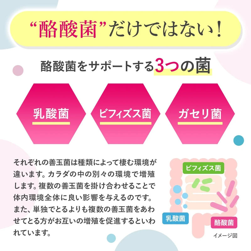 酪酸菌 25億個 短鎖脂肪酸 乳酸菌 ビフィズス菌 フラクトオリゴ糖 ラクトフェリン 6種のオリゴ糖 生きて届く 菌活届くEX 100粒 新日本ヘルス