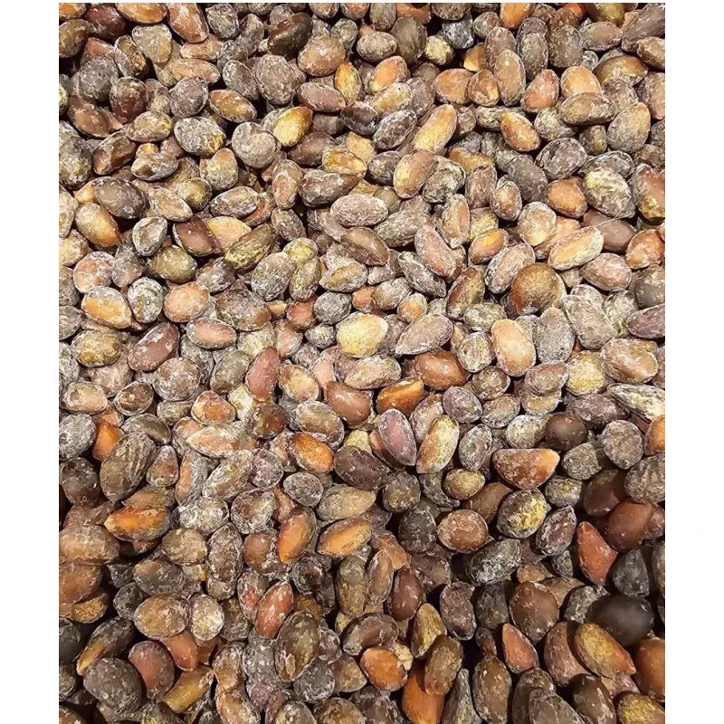 Unbranded $20 New Mexico Piñon, Pinon Pine Nuts, 2024 Harvest, Roasted & Salted Or Raw