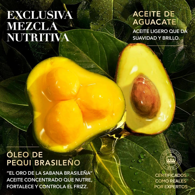 HERBAL ESSENCES Bio:Renew, Shampoo sin sulfatos ni parabenos para cabello seco, maltratado y/o rizado Nutre e Hidrata Pequi & Aguacate 400 ml