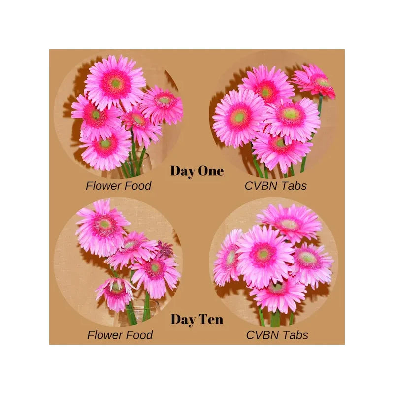 Chrysal CVBN Tablets 800 count jar clear odorless water Flowers Pill NEW SEALED