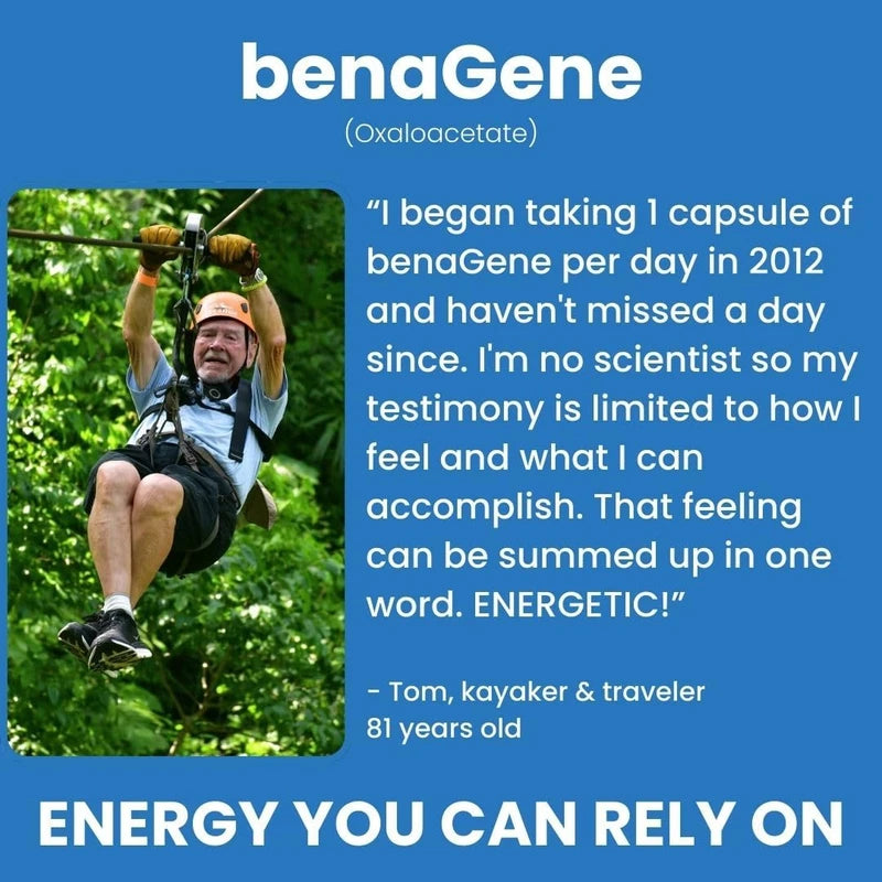 Benagene Oxaloacetate Supplement - Supports Cellular Energy - Thermally Stabilized with Vitamin C - Non-GMO & Vegan - 30 Servings, Once Daily