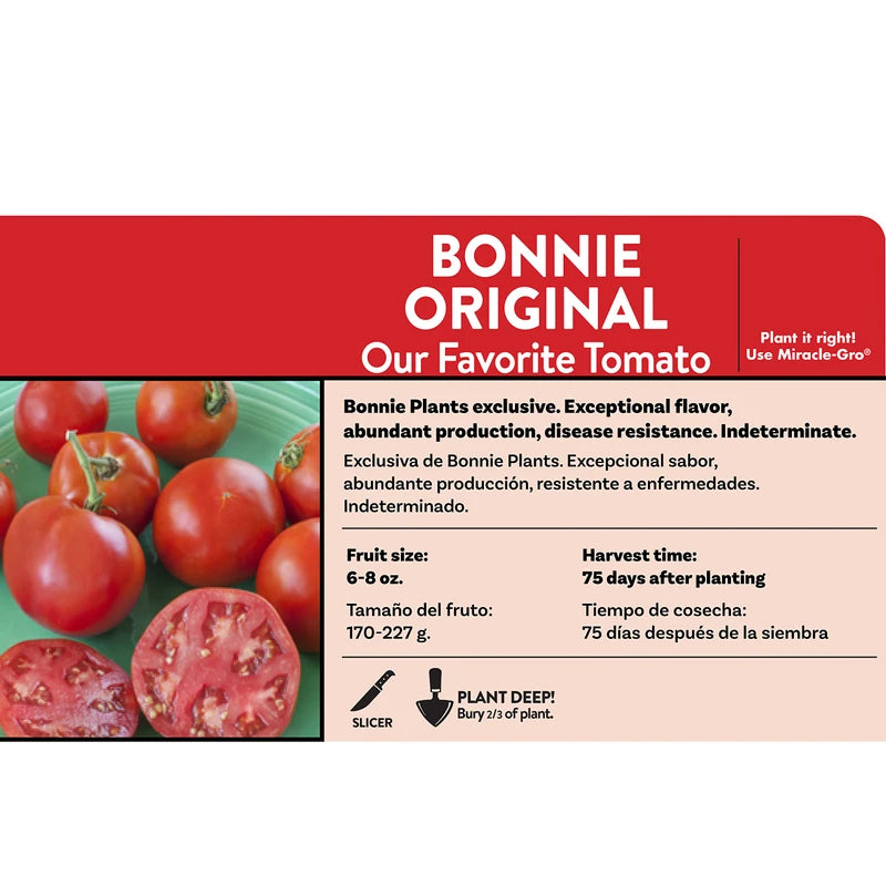 Bonnie Plants Bonnie Original Tomato Live Vegetable Plants - 4 Pack, Disease Resistant, 6 - 8 oz. Fruit Size, Great for Slicing