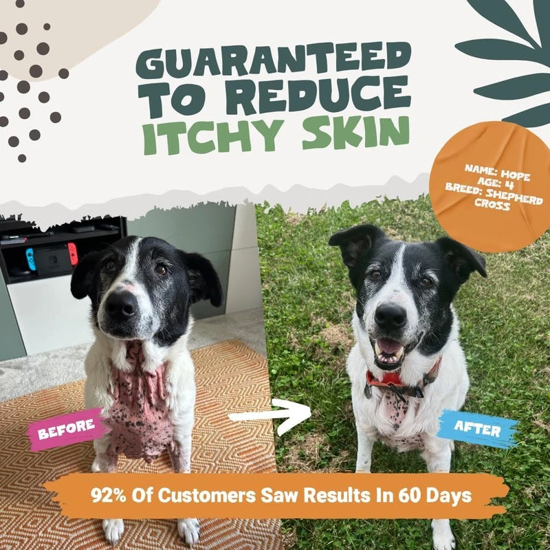 Pets Purest Scottish Salmon Oil – Omega 3, 6 & 9 Supplement for Dogs, Cats, & Pets – Supports Coat, Skin, Joints, and Brain Health