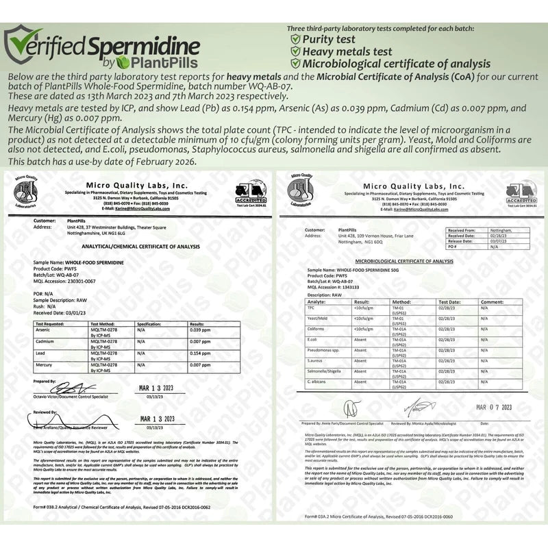 PlantPills 1kg PlantPills Whole Food Spermidine Powder Lab Verified at 240mg/250g