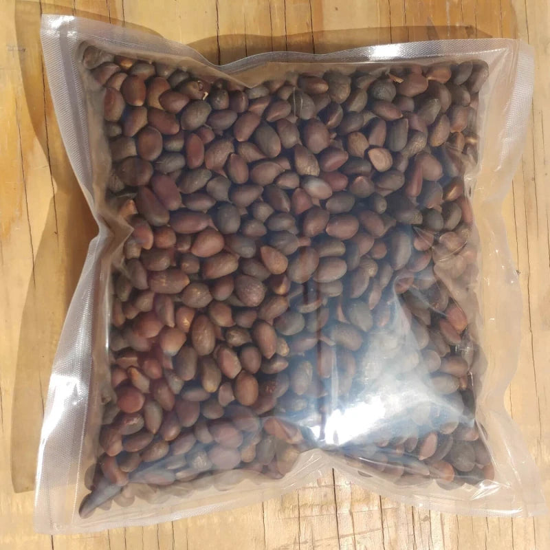 Grand Canyon Silver New Mexico Piñon, Pinon Pine Nuts, 2024 Harvest, 8oz ~ Roasted & Salted