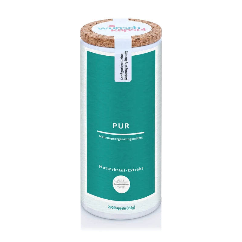 Pure motherwort extract 500 mg (Tanacetum parthenium, at least 0.8% parthenolide), 290 vegan capsules from the desired capsule manufactory. Premium dietary supplement.