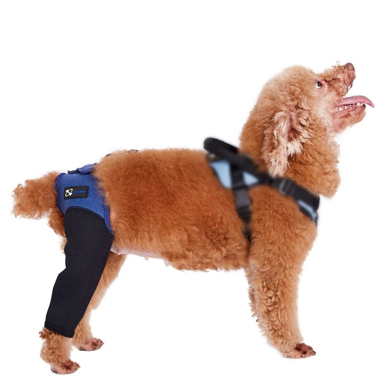 COODEO Dog Recovery Sleeve, Pet Wounds Prevent Licking, Bite, Keep Dry, Abrasion Resistant Dog Recovery Suit, Washable Neoprene 2.5mm Thick and Waterproof, Cone Collar Alternative (L)