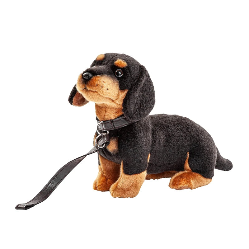 Uni-Toys - Dachshund (with lead) - 27 cm (length) - plush dog, pet - plush toy, cuddly toy