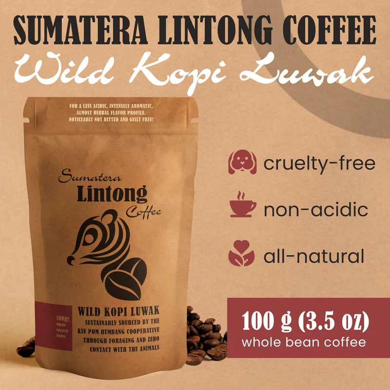 Wild Kopi Luwak, the World’s Most Exclusive Coffee, Sustainably Sourced From Sumatra, Indonesia (100gr / 3.5oz)