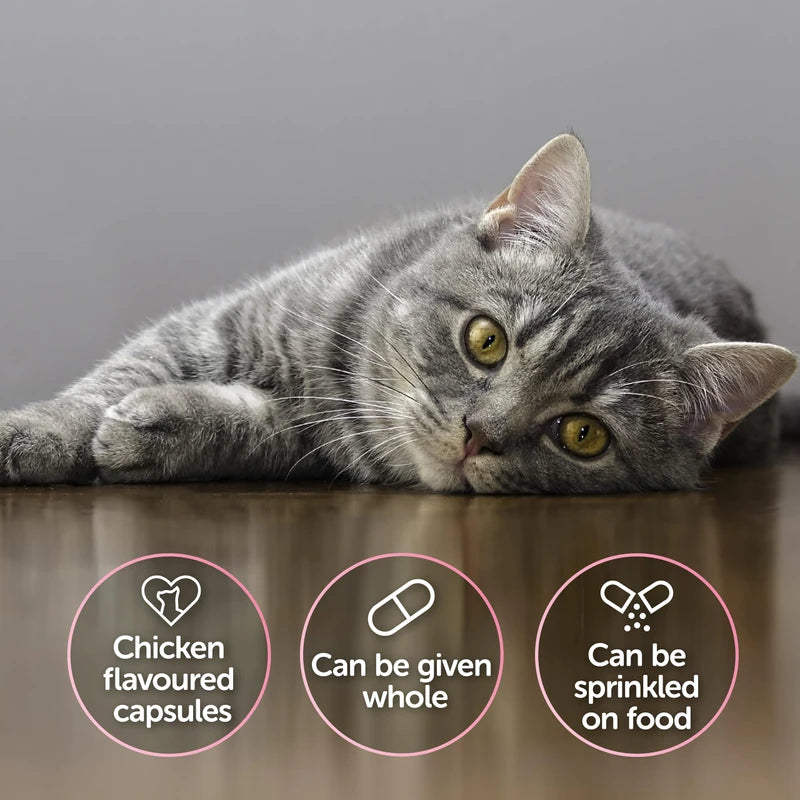 Protexin Veterinary Cystophan Urinary and Bladder Support for Cats, 240 Chicken Flavoured Capsules