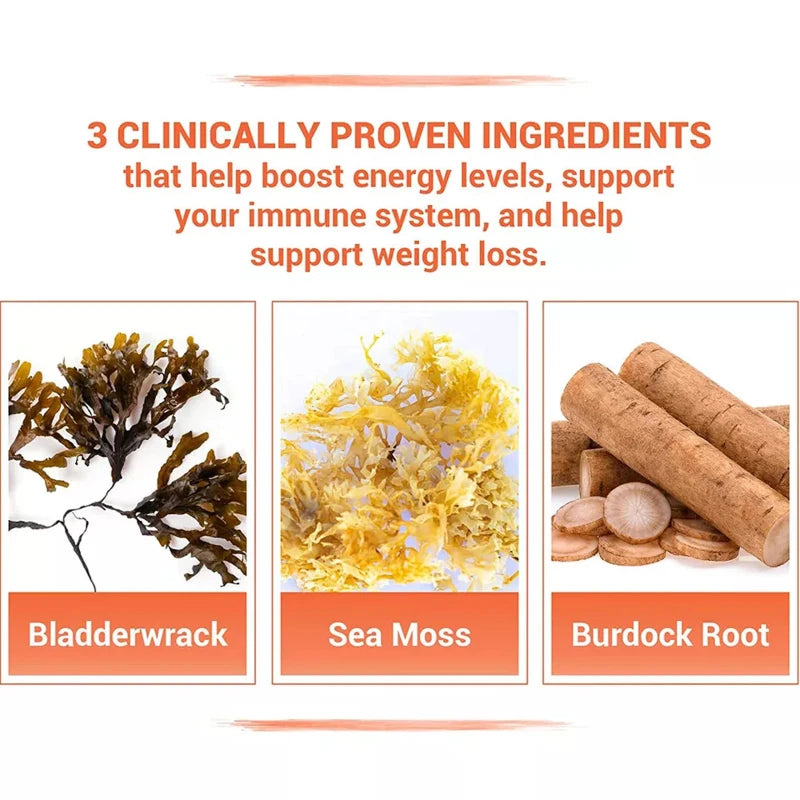 Infinite Age Sea Moss Advanced Superfood - Thyroid Care, Burdock, Bladderwrack