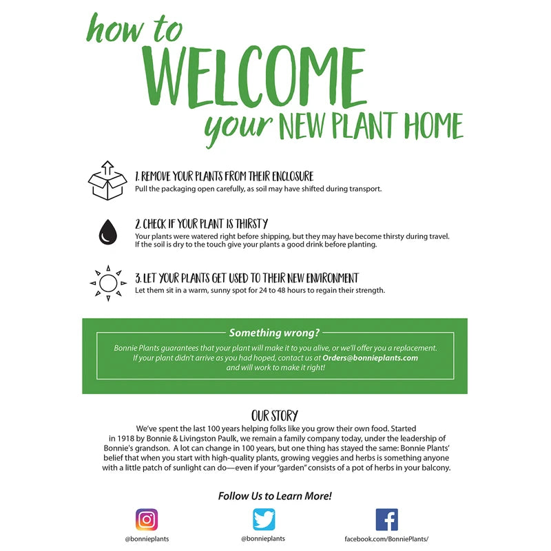 Bonnie Plants Bonnie Original Tomato Live Vegetable Plants - 4 Pack, Disease Resistant, 6 - 8 oz. Fruit Size, Great for Slicing