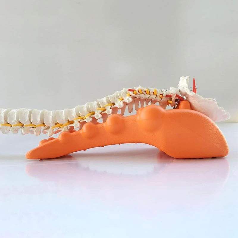 Trapezius Stretcher,Comfortable Trapezius Trigger Point,Portable Trapezius Massager,Trapezius Trigger Point for Shoulder, Neck, Upper Back, and Trapezius Muscles