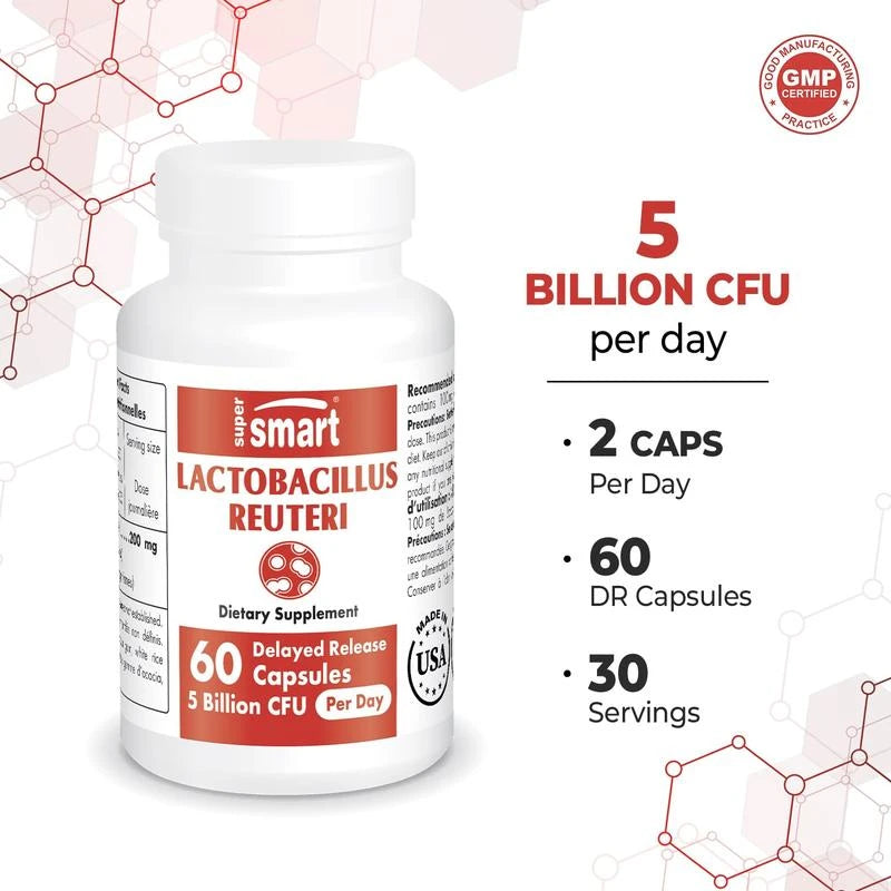 Supersmart - Lactobacillus Reuteri 5 Billion CFU per Day - Probiotic Supplement | Non-GMO & Gluten Free - 60 DR Capsules Edible Healthcare