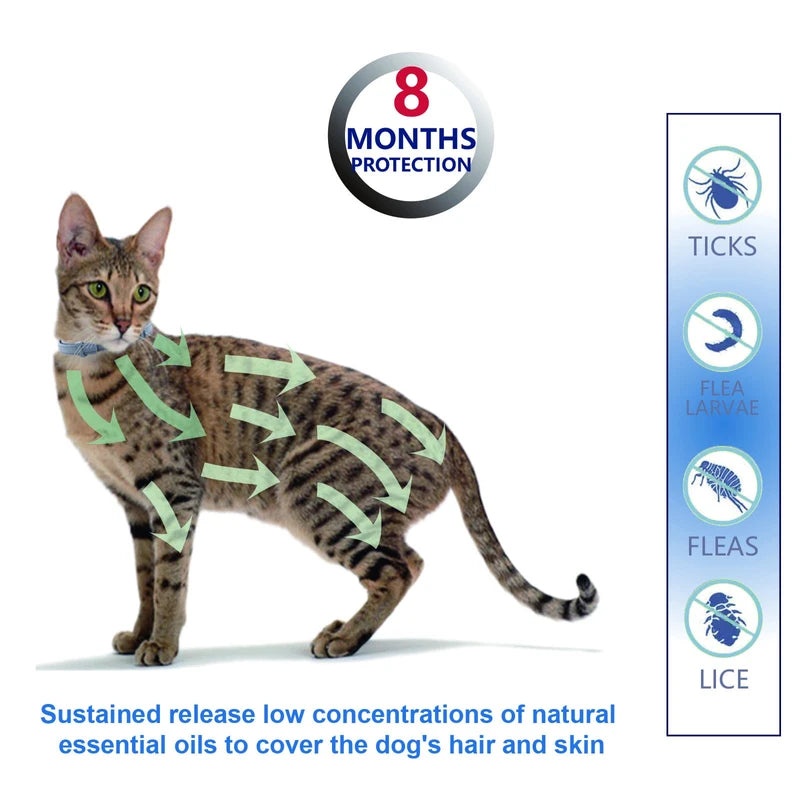 Fipukin Natural & Safe Flea and Tick Collar for Cats, 8 Months Protection, Waterproof, 13.8 inch, One Size Fits All, Free Comb and Tick Removal Tool, Prevention Treatment Drop, Charity! (1-Pack).