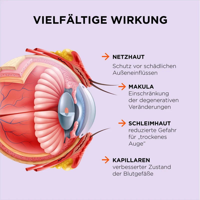 ZeaForce Perfect vision with just 1 capsule/day. Concentrated composition. Versatile effect. Liquid formula for faster effect. Laboratory tested (pack of 1)