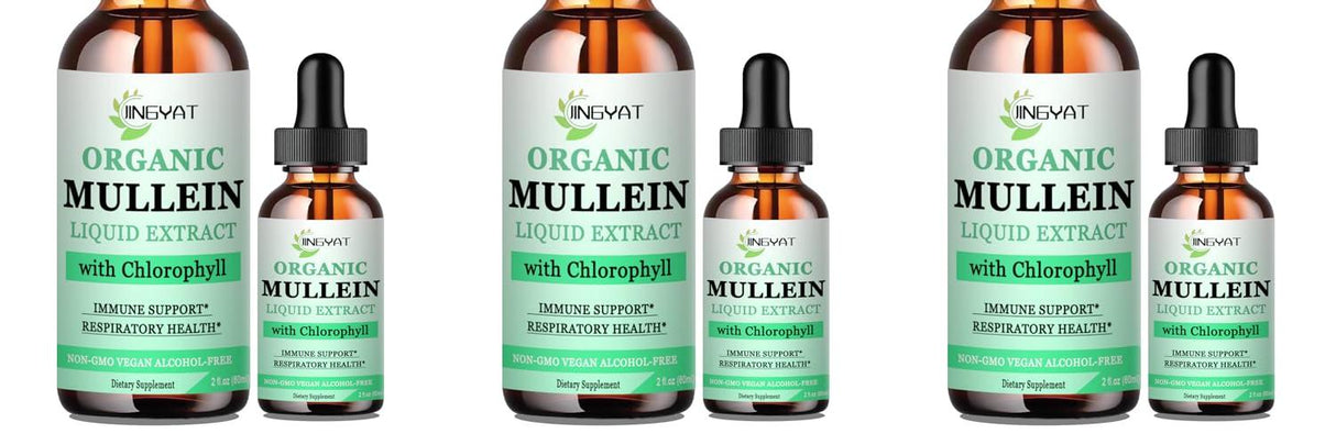 3 Pack JINGYAT Mullein Drops for Lungs | Powerful Mullein Leaf Extract with Chlorophyll, Vitamin C, Cinnamon for Immune Support, Detox & Respiratory Support, Bronchial Support | Non-GMO, Kosher, Gluten-Free