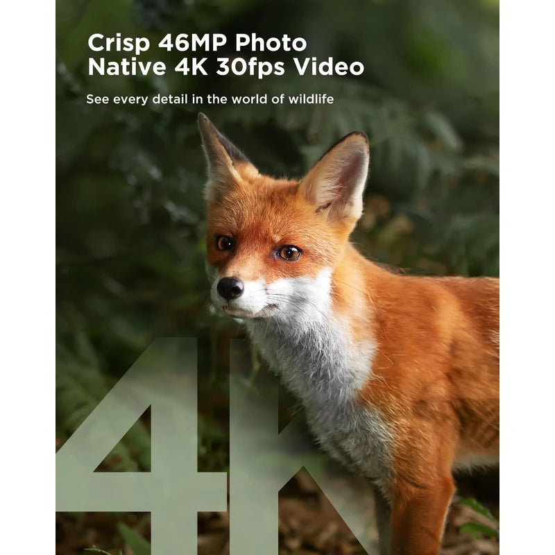 CEYOMUR 4K 30fps Solar Trail Camera, 46MP WiFi Trail Camera with Night Vision 0.1s Trigger Motion Activated, Game Camera with 120° Detection IP66 Waterproof for Wildlife Scouting with 32GB SD Card