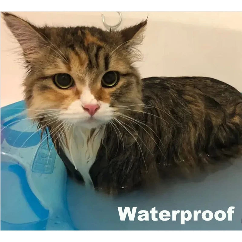 Fipukin Natural & Safe Flea and Tick Collar for Cats, 8 Months Protection, Waterproof, 13.8 inch, One Size Fits All, Free Comb and Tick Removal Tool, Prevention Treatment Drop, Charity! (1-Pack).