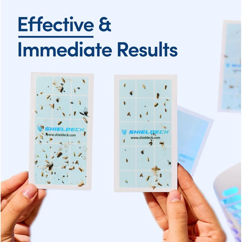 Shieldeck Flying Insect Trap Plug in - Indoor Fruit Fly Trap, Gnat Trap, and Mosquito Trap - Bug Catcher Traps with UV Light for House Indoors (1 Device + 5 Refills) (Device)