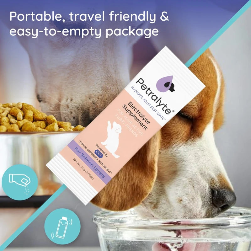 Dog Electrolytes and Joint Supplement | Glucosamine, Chondroitin & MSM for Inflammation and Mobility Support | Electrolytes for Dogs with Prebiotics | Salmon Lovers | 16 Packets