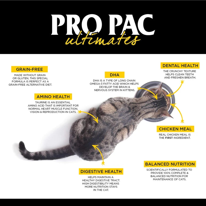 Pro Pac Ultimates Savanna Pride Grain Free Dry Cat Food, 14 Lb.