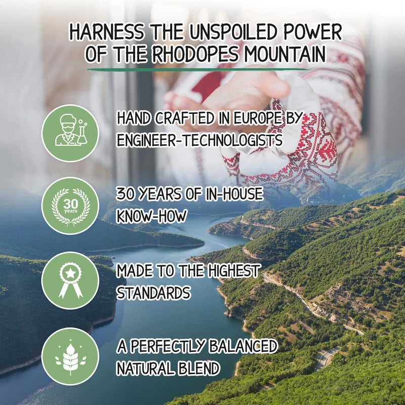 Milva Nettle Shampoo for Oily Hair - 500 ml Natural Hair Cleaning Shampoo - Oil Reducing Shampoo & Dandruff Control Shampoo - Oily Hair Medium - Volume Shampoo