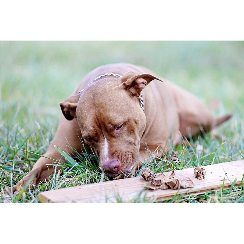 K9 Connoisseur Low to Odor Free Slow Roasted Beef Lung Bites for Dogs Made in USA Grain & Rawhide Free Natural Dog Treats for Large Dogs Aggressive Chewers Also The Best for Medium & Small Breed Dogs