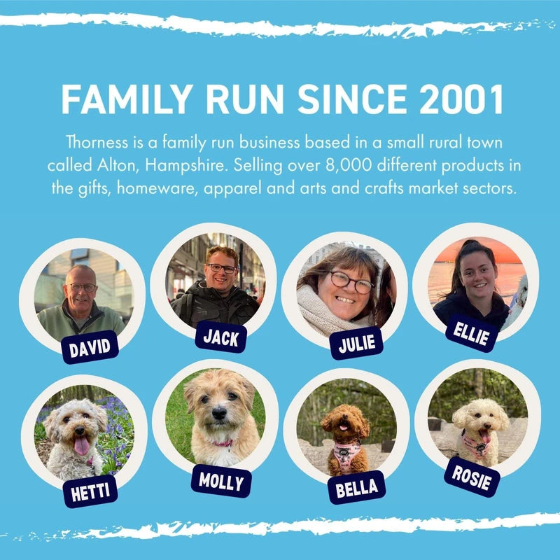 30cm Tall Free Standing Galileo Thermometer with Seven Blue Floating Globes | Measures temperatures from 16 Degrees Centigrade to 28 Degrees | Also in Fahrenheit | Weather Station | Water Thermometer