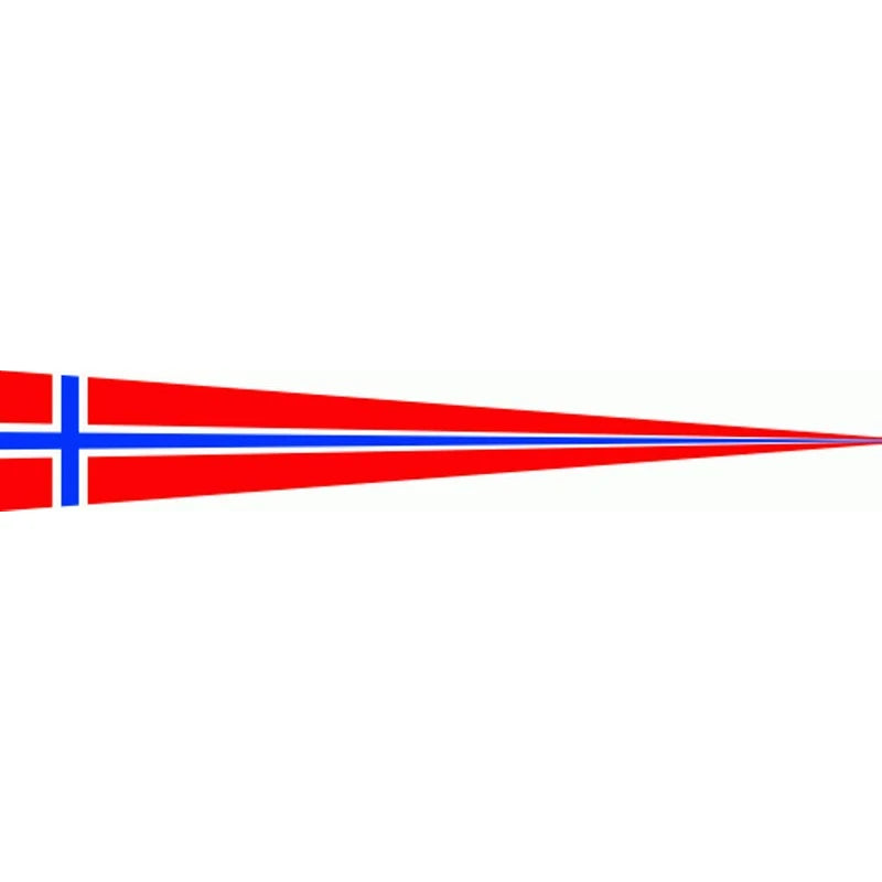 Norway Flag Flag