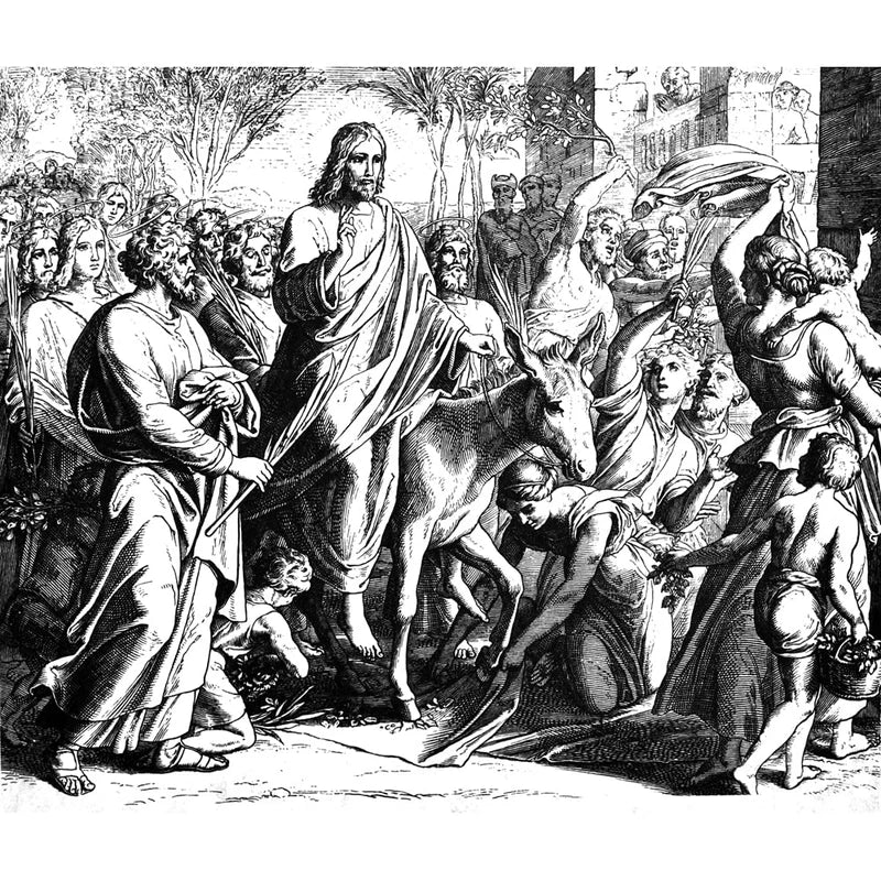 Palm Sunday Palm Crosses - Pack of 50 - 9.5" Tall