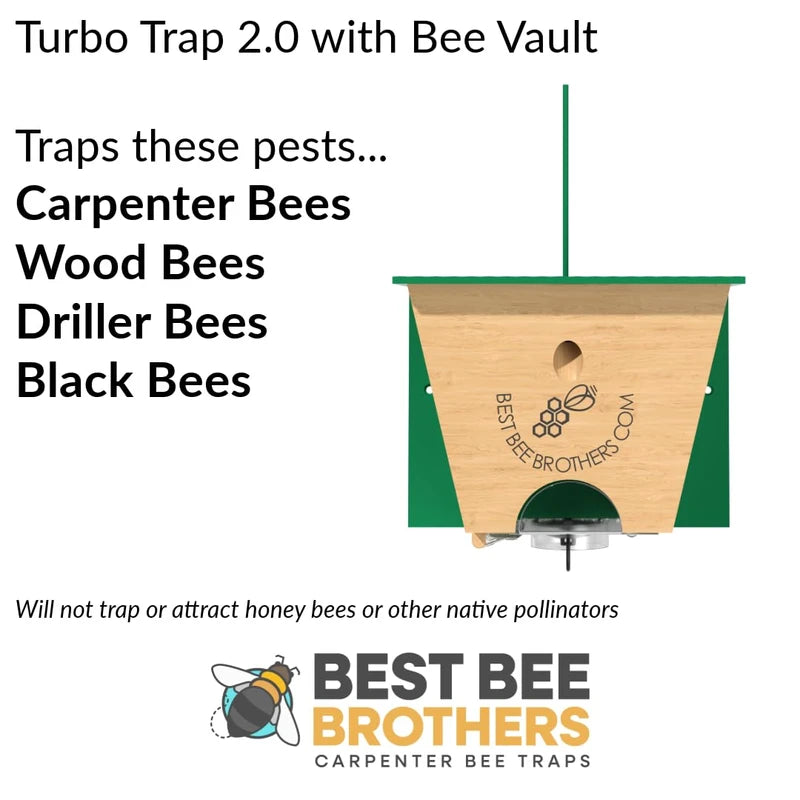 Best Bee Brothers Best Bee Brother Turbo Trap 2.0, Professional-Grade Carpenter Bee Trap for Outside with Bee Vault, Large Viewport & Spring-Loaded Door, 4.1 W x 4.8 H x 5.9 D (2 Pack)