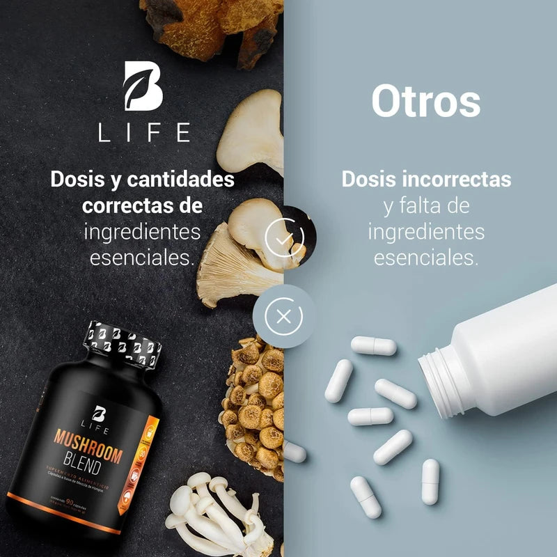 Mezcla de Hongos Adaptógenos con Melena de León, Reishi, Cordyceps, Chaga y Cola de Pavo | Mushroom Blend B Life | 90 Cápsulas con 1500 mg por Porción | Ingredientes Naturales para el Bienestar Integral