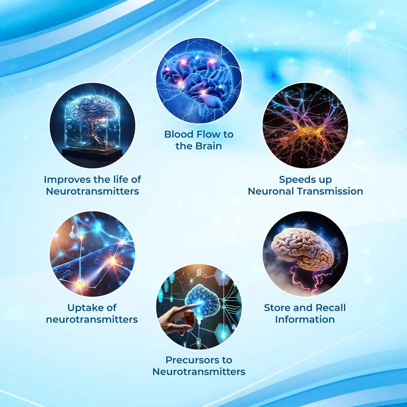 Focus Fast Clear Brain Nootropic Supplement, 40 Count, for Men & Women - Focus Pills for Concentration, Brain Booster & Memory Support – Vitamins, Choline, Ginseng, Gingko & More