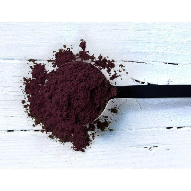 Haskapa | Superberry Powder | Made With 100% Natural Vegan Whole Haskap Berries | High in Vitamin C + Antioxidants | Gluten Free | Superfood Made from Freeze Dried Berries | (30 Day Supply)