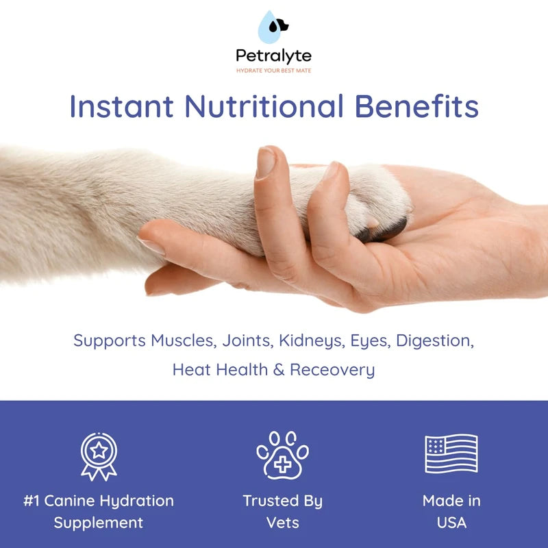 Dog Electrolytes and Joint Supplement | Glucosamine, Chondroitin & MSM for Inflammation and Mobility Support | Electrolytes for Dogs with Prebiotics | Salmon Lovers | 16 Packets