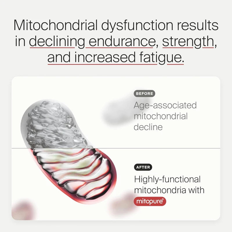 Mitopure Softgels - Urolithin A for Aging, Muscle & Cell Support