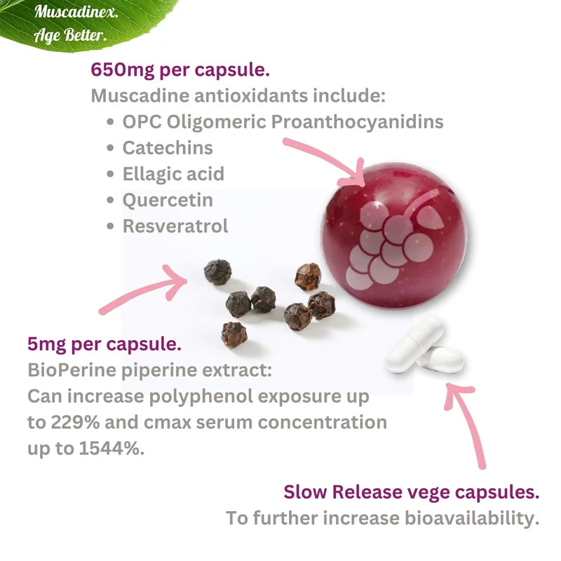 BioPerine Plus Grapeseed Extract Supplement. Time Release. Piperine Black Pepper Can Boost Turmeric Curcumin and Resveratrol. Made in USA. Vegan. Non GMO.