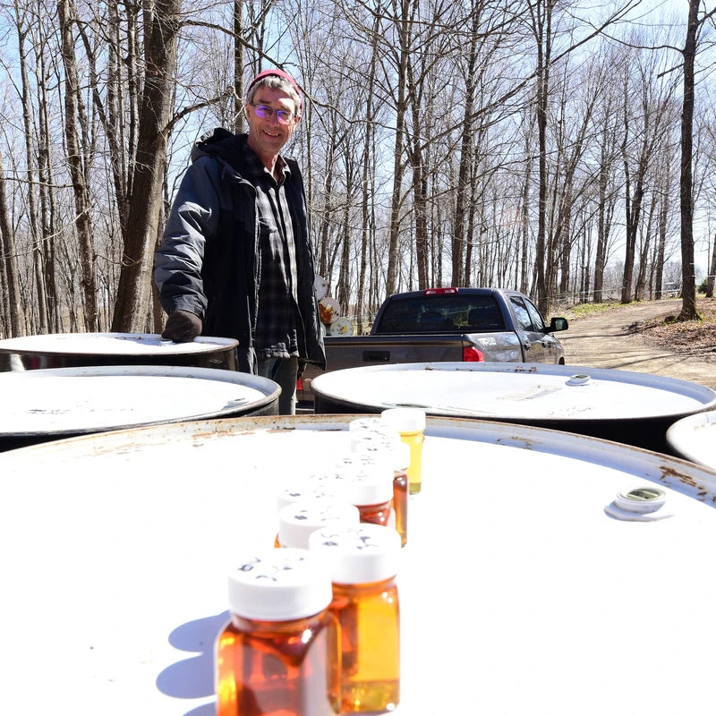 Maple Valley Maple Valley 10 Day Organic Master Cleanse Lemonade Detox/Kit with Peter Glickman Master Cleanse Coach Book