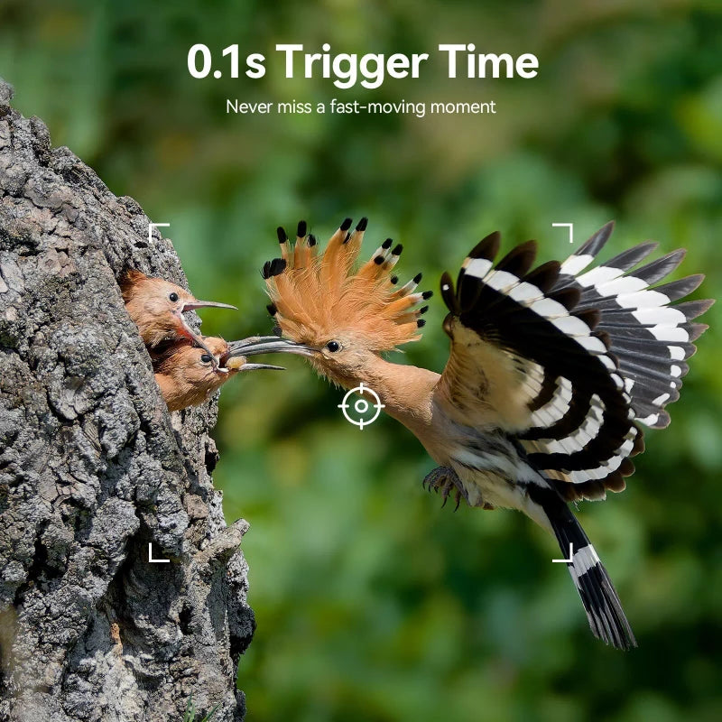 DEATTI WiFi Bluetooth Connectivity Trail Camera 0.1s Trigger Time 48 MP Night Vision