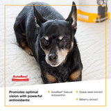 VETRISCIENCE Golden Years Clear and Bright Vision Support for Senior Dogs, Chicken Flavor, 60 Chews - Supports Cloudy and Teary Eyes and Ocular Blood Flow