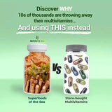 Infinite Age Sea Moss Advanced Superfood - Thyroid Care, Burdock, Bladderwrack