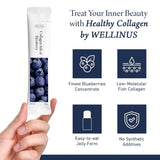 WELLINUS Blueberry Full of Collagen, Jelly Stick, Marine Collagen, Fast Absorbing, Snack, Ultra-Low Weight Molecular Marine Collagen, HACCP Certified, 22.05 oz/Pack of 25