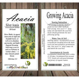 Acacia decurrens dealbata (Silver Acacia) Tree Seed, Warm, Honey, iris-Like Scent, You Choose The Quantity (1 Pack)