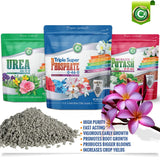 Triple Super Phosphate 0-46-0 Fertilizer Made in USA - Bloom Booster - TSP Pure Phosphorus Plant Food for Plants & Flower Gardens - Fruit, Vegetables