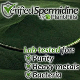 PlantPills 1kg PlantPills Whole Food Spermidine Powder Lab Verified at 240mg/250g