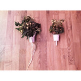 Click and Grow Pro Cup Kit for Smart Garden, 9 pcs